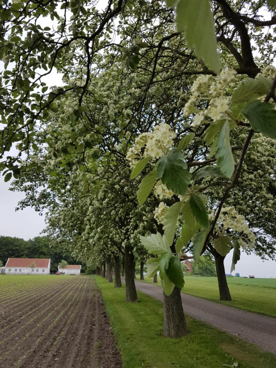 Wirketorp Countryside Hotel Kavlinge Exterior photo